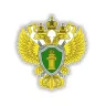 Андрей Поднебесный